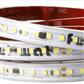 FULLWAT - ACCX-2835-BF-W/50. LED strip for decoration | lighting application. Standard Series. 6500K Cool white - 220 ~ 240 Vac - 16W/m - 120 led/m - 1760 Lm/m - CRI>80 - IP65 - 50m