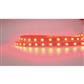 FULLWAT - DOMOX-5060-RO-ESPX. LED-Streifen  normalspeziell für beleuchtung. Reihe standard . Rot - 4000K. CRI>83 - 24Vdc - 12W/m- 255 Lm/m - IP20 - 60 led/m- 5m