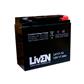 LIVEN - LV17-12. Batería recargable de Plomo ácido de tecnología AGM. Serie LV. 12Vdc / 17Ah de uso estacionario